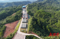 张官高速第二合同段完成全线预制梁生产任务