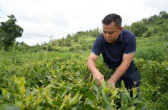省人大代表彭清东：群众的笑容是最大的肯定
