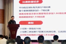 2025年，全国超6000名青少年参加篮球等级评定