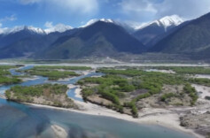 时政微视频丨大美湿地