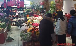 姹紫嫣红扮靓年味 怀化城区花市迎来销售旺季