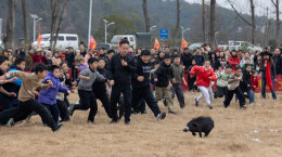 农趣运动会迎新春