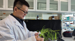 科技青年 “湘”当有为｜王立峰：与草为“敌”，守护稻田安全