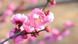 溪流入海：一个石门媒体人的音乐笔记