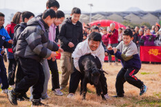 莲花农趣迎新春 乡土年味暖人心