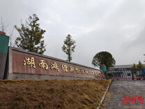 湖南鸿锂新能源科技：10万吨产能加码，挺进电解液赛道核心圈