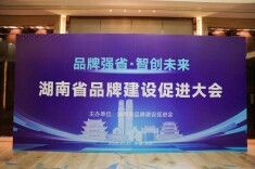 传承馥郁匠心 铸就品牌典范——酒鬼酒在湖南省品牌促进大会上斩获殊荣