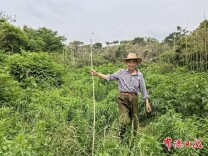 2025年常德3人获评“中国好人” 8人（组）获评“湖南好人”