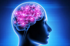 警惕认知衰退，这些信号别忽视