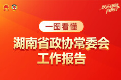 一图看懂丨湖南省政协常委会工作报告