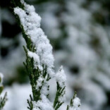 今明天我国大部晴朗升温利出行 后天起冷空气携雨雪来袭
