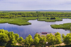 全国多地开展世界湿地日主题宣传实践活动