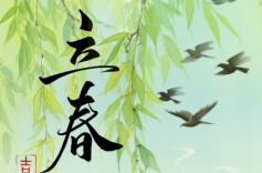 药食同源·立春|春日养生，从一块姜开始