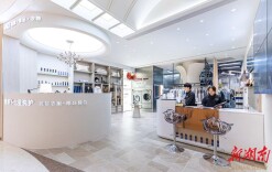 “要给家乡孩子一个平台”——张家界籍企业家邀青年赴沪筑匠心