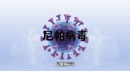 硬核科普｜凶猛的尼帕病毒其实是“脆皮恶魔”？湘雅专家：牢记八个字堪比打疫苗！