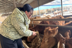 从“电影人”到“新农人”——株洲95后海归曾齐怡馨回乡创业的故事