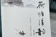 桂香满街巷 医暖入人心 株洲市荷塘区赵家冲“桂香家医”获居民赋诗点赞