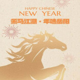 策马江湖年味浓！岳阳新春文旅盛宴即将启幕