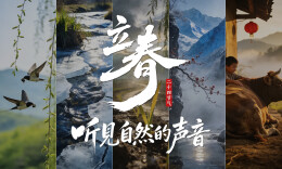 AI海报｜立春，听见自然的声音！