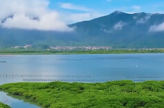 新思想引领新征程丨守护大美湿地 建设美丽中国