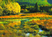 湿地：流动千年的文明华章