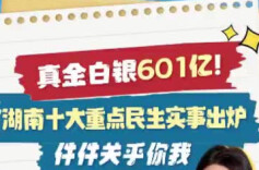 真金白银601亿！湖南十大重点民生实事出炉，件件关乎你我丨民生拼图