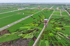 习近平总书记关切事｜幸福花开新农家