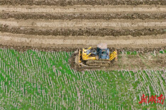 Farmers Busy with Agricultural Production as Spring Begins