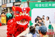 舞狮迎春