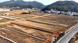 冬闲变农忙 湘江新区1.43万亩高标准农田为春耕“蓄力”