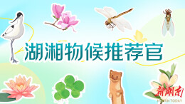 立春是什么颜色？湖南日报邀你来当“湖湘物候推荐官”！