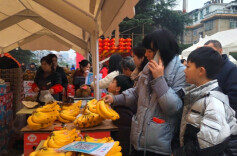 2026年辰溪县第二届全民嗨购年货节展销活动启幕