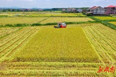 衡阳市：取消市级层面对乡村两级考核  市级考核事项精简率近八成