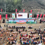 茶香满茶乡 匠心传新篇——第二届古丈红茶斗茶赛现场特写