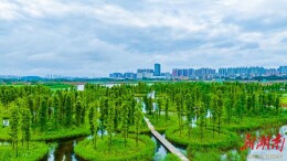 护一方湿地，传千年水韵——望城谱写生态宜居新乐章