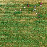 2025年湖南农产品出口总额居中部第一，猪肉、蔬菜及食用菌表现亮眼