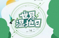 益阳资阳区开展第30个“世界湿地日”主题宣传活动