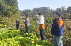 从“摸排”到“调划” 精准施策赋能乡村振兴