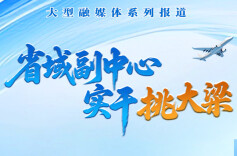 省域副中心 实干挑大梁③｜陶伟军:持续培塑县域发展比较优势