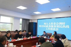 代表风采｜杨丽丽：文化铸魂科技赋能湘西文旅高质量发展