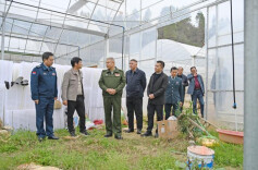 株洲军分区领导到醴陵乡村振兴一线调研慰问