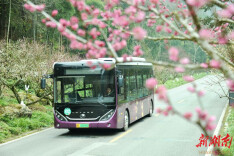 张家界国家森林公园：梅香引客 车驰春境 春日限定美景正式上线