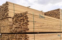 1月全国林业采购经理指数发布 春节假期影响部分显现