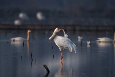 我的2025 | 杨波：按下快门的第三年