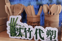 以竹代塑创新团队成功研发全竹纤维复合材料