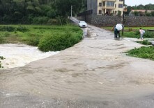 一座连心桥 连通民生路 ——岳阳楼区库区移民服务中心实干担当破解移民出行难题