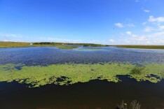 连线省两会丨省人大代表向大江：加快水利修复林相改造 筑牢都市圈绿色根基