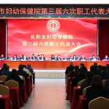 妇幼保健看岳阳丨砥砺奋进结硕果 乘势而上启新程