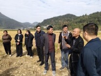 慈利县杨柳铺乡:调研破难题 实干促振兴