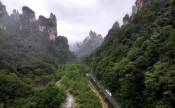 当好“新三员”  共建“国际张”